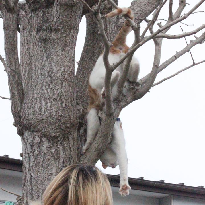 F3fb513e 81d4 4098 846d f0481b1117f7 1517735070634