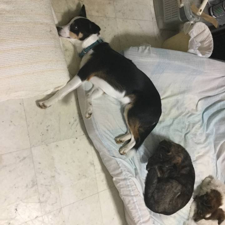 F3fb5342 60e7 4f4d 8208 934429a24db4 1586426680064