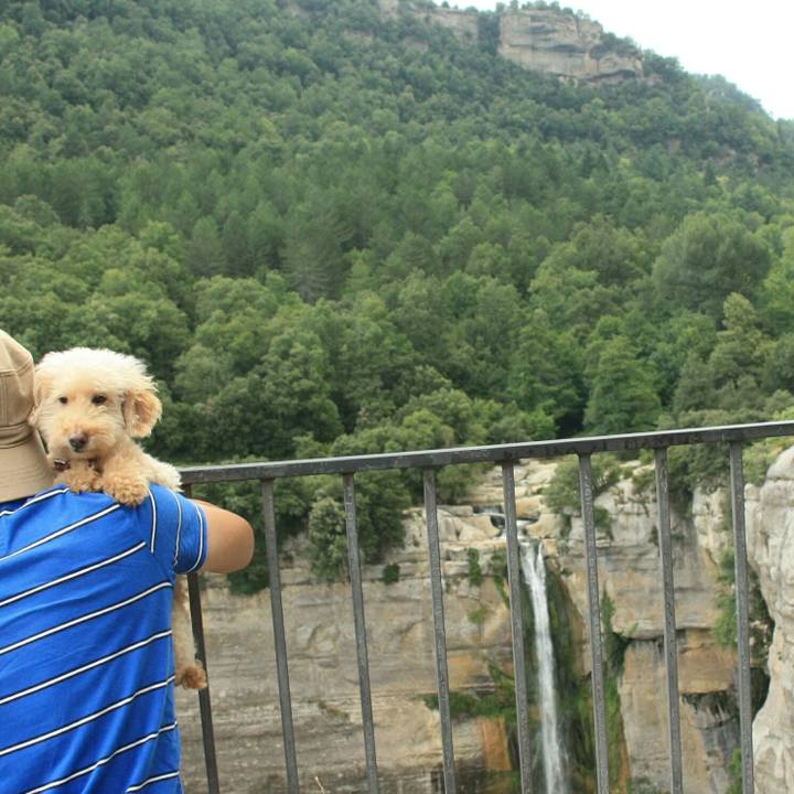 F3fb8997 006d 4c29 93e4 dc8712985e3e 1532532873124