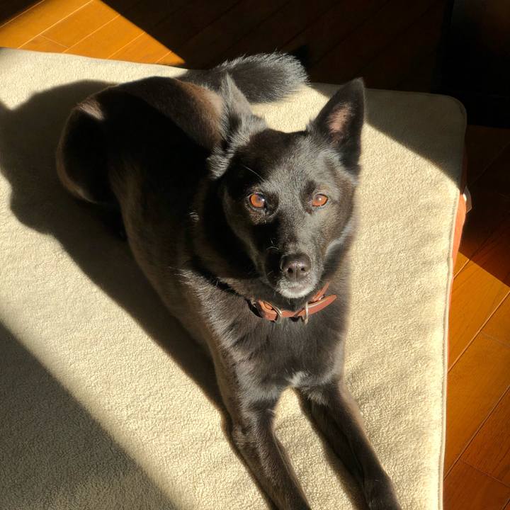 F3fb95c2 f6f8 4cc9 8166 9b2f0b11dd26 1581636986569