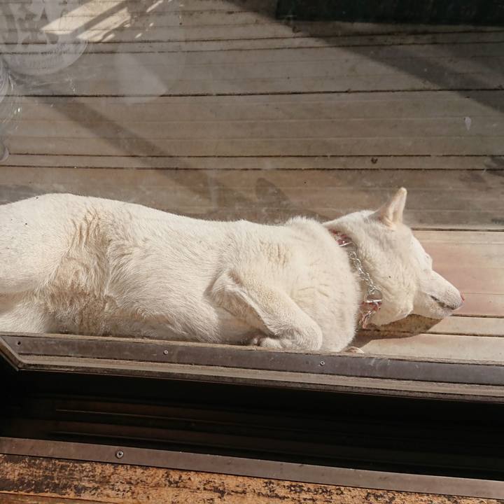 F3fbcc13 34b6 4c72 820b 30d617ca0a1c 1614749160000