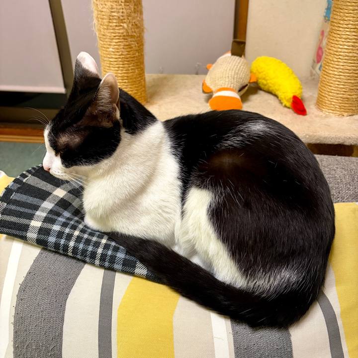 F3fbcdb0 2635 414e b1a0 bd3381ec5189 1767965451833