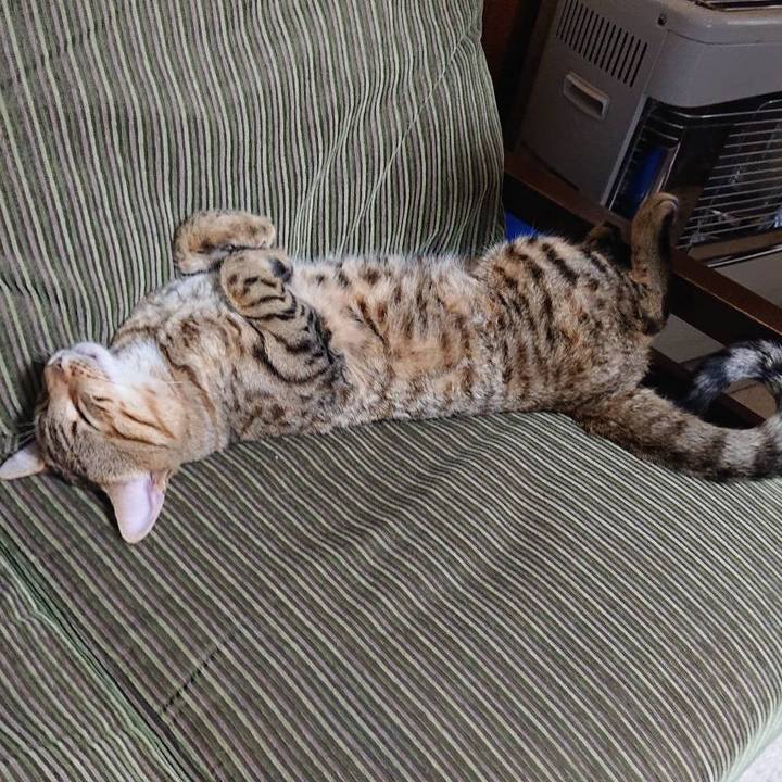 F3fbda9e c294 4dfb 812d 447febf9ff1d 1587042880460