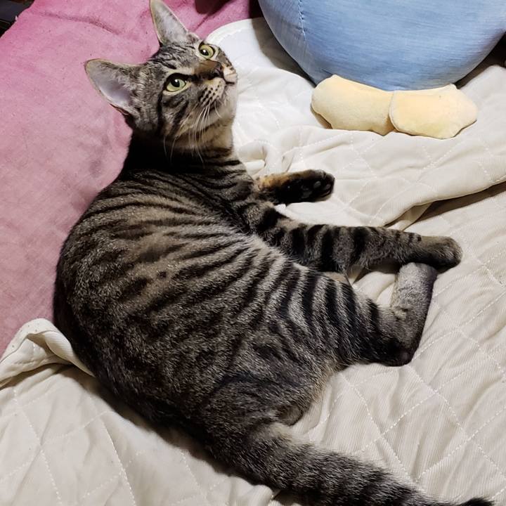 F3fbf9eb a0f4 47a1 a591 6b18b997790d 1542630536797