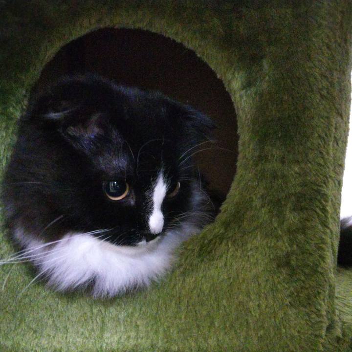 F3fc162b ab28 4e9b 8e9f 2479a5fb3ce0 1645883703432