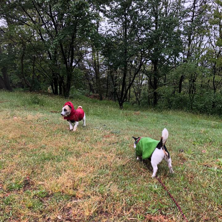 F3fc205c 8d96 4956 8fc6 311afca68679 1525393611379