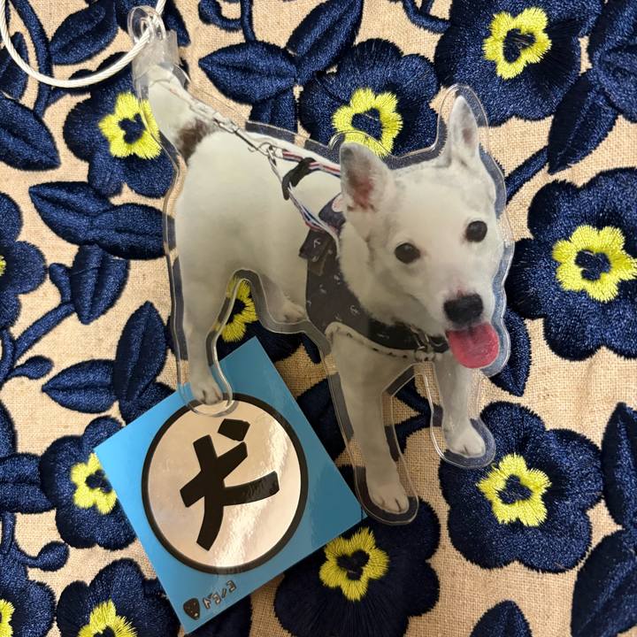 F3fc2318 c322 4fcc 9f07 4d22036bf121 1765622192255