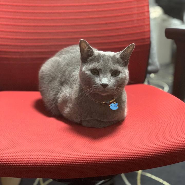 F3fc258d 8455 44ea 94b2 34c1967821fc 1634436494361