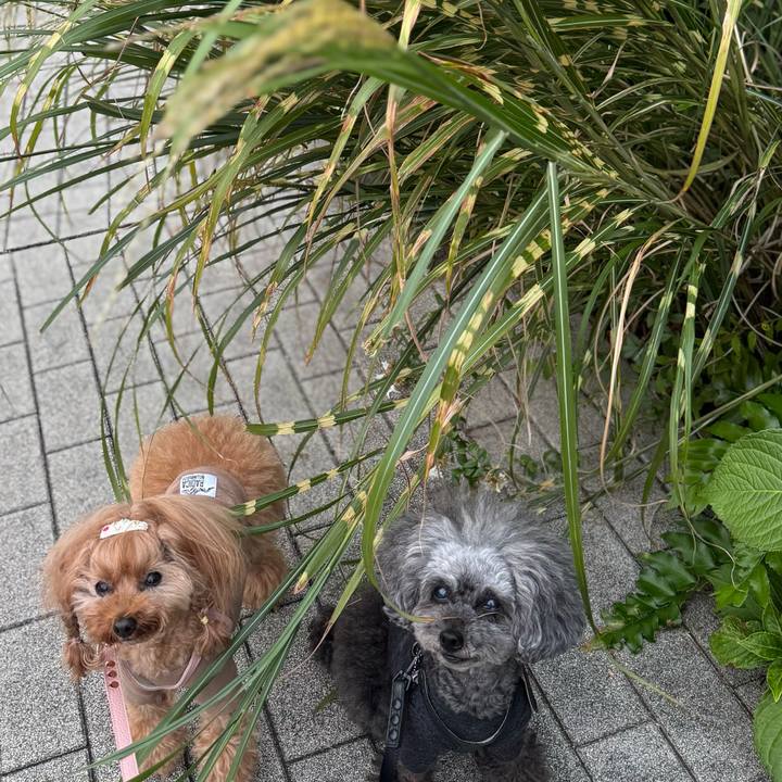 F3fc3e44 fe2f 47eb b695 874d2e77003e 1760827068214