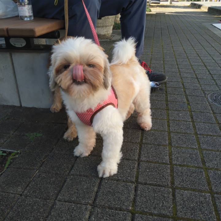 F3fc5efb 14b3 4392 bc19 efe7bb58e034 1601430182674