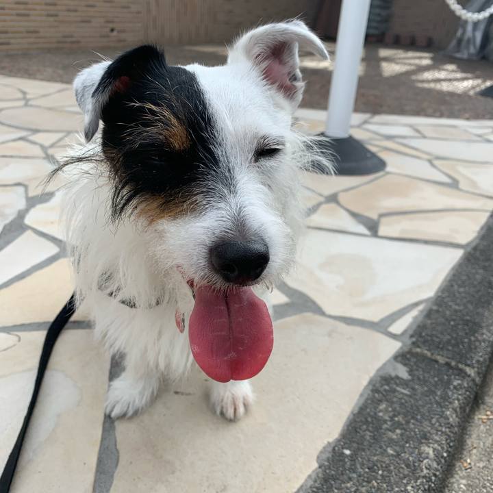 F3fc71c5 9bd6 4a8f b4f2 39ca1603dbfa 1598829438104