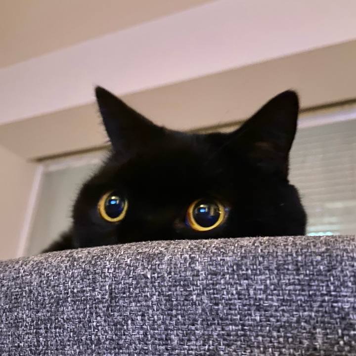 F3fcb949 3bb5 4fd5 8312 99f0f92f2b8f 1769083237464