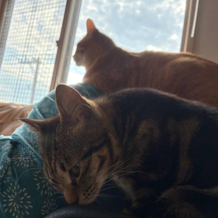 F3fcbfb6 3847 4262 9dd2 e80973f8e0f7 1749331846108