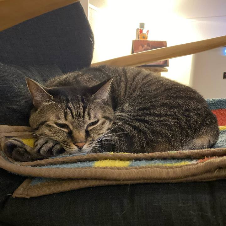 F3fcc00c 318f 4f1d 8ad9 8217bb11fb32 1634645342022