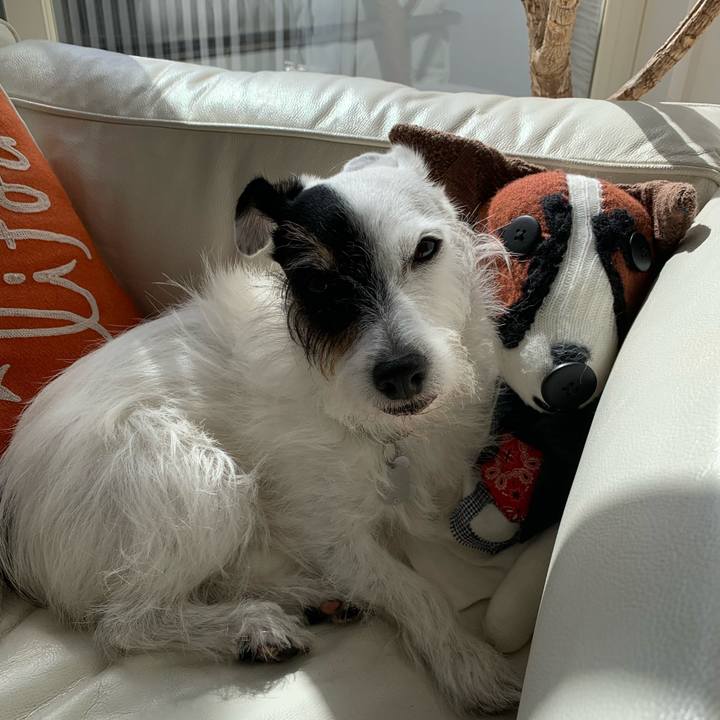 F3fd19e5 067e 4ed3 8e70 e4508d09edf2 1729563787307