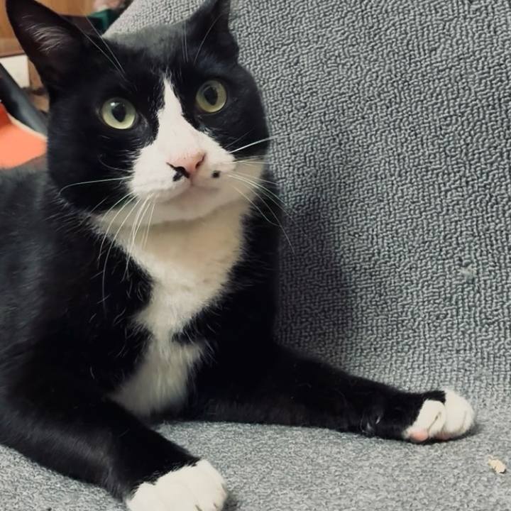 F3fd2d41 0f66 4d1c 9250 20d3dc4dc090 1750902725404