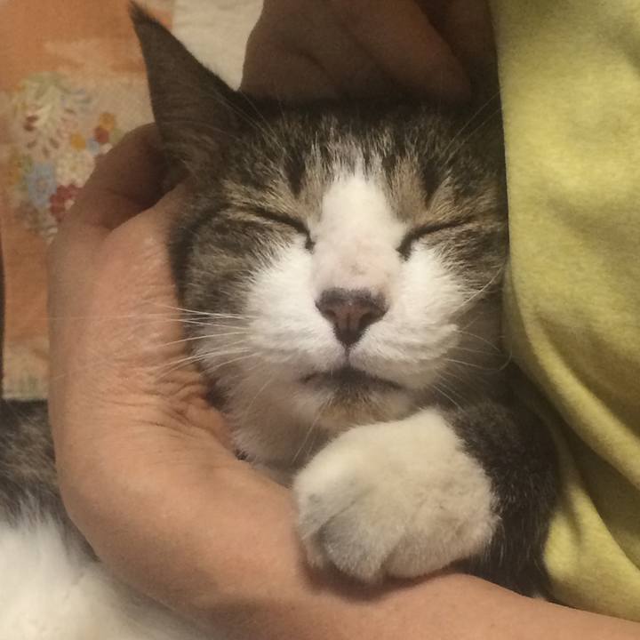 F3fd3ba1 191b 4ea0 b878 cb2a6888255f 1533045530036