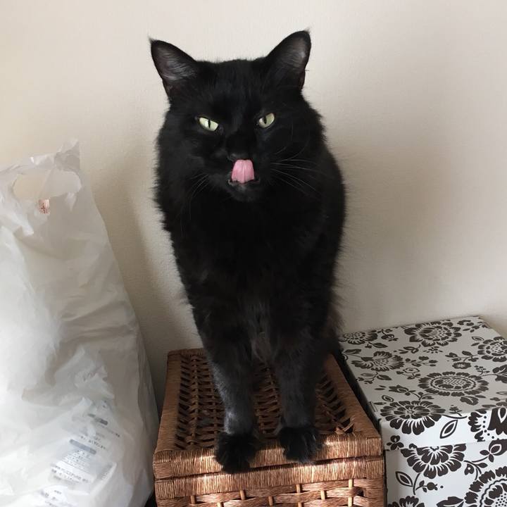 F3fd6391 963d 4cc1 9a05 d0b6ac39601f 1535787008459