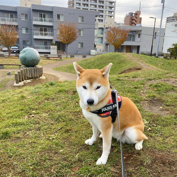 F3fddcb4 8221 4036 8d94 c960659520f7 1605657208898