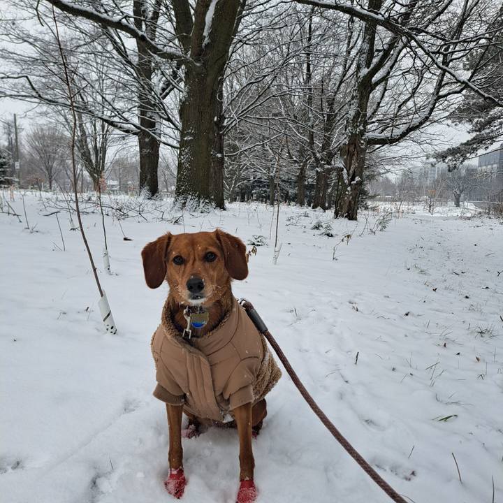 F3fddd5d ffd2 40e4 a70c eb68c4d4d207 1765138540260