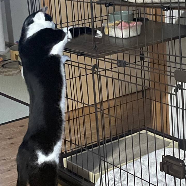 F3fe0f0c 794b 4c9a a69d 0abc40437647 1769824643414