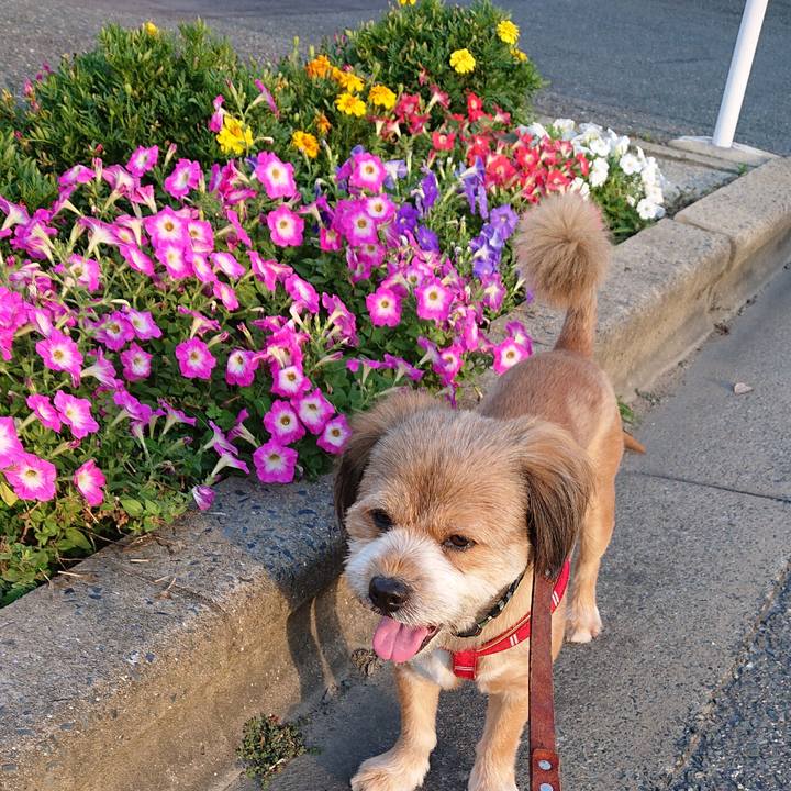 F3fe1195 f6d9 42cb bbfa 00a59de8047e 1564306951359