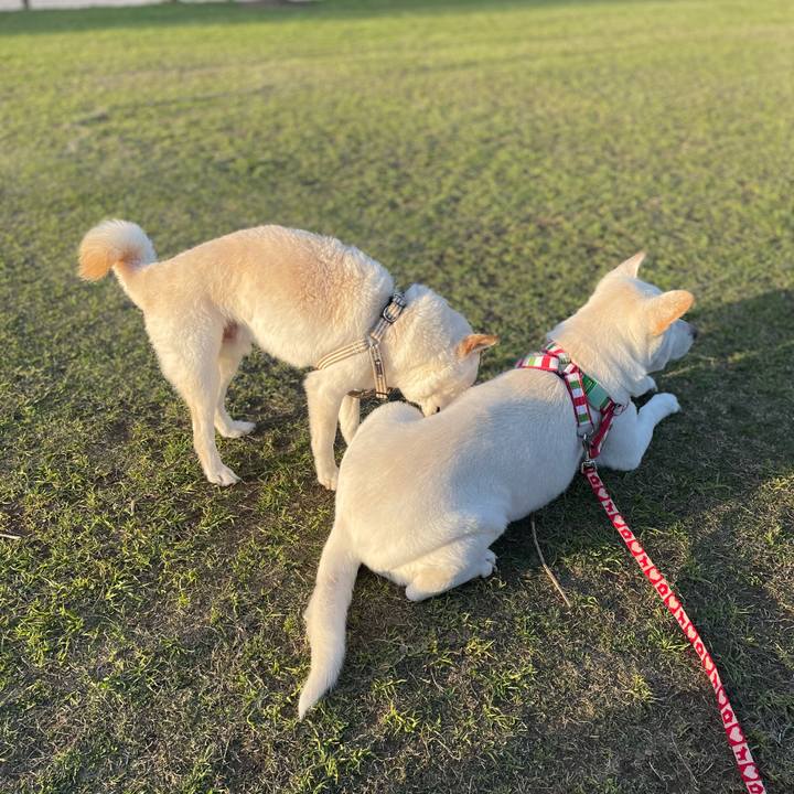 F3fe556d b969 4480 9a4a 80a864354889 1648393568870