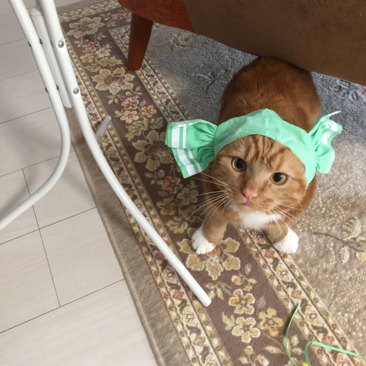 F3fe7fd3 863b 4499 a5c4 8687b5d6d1b8 1536457981129