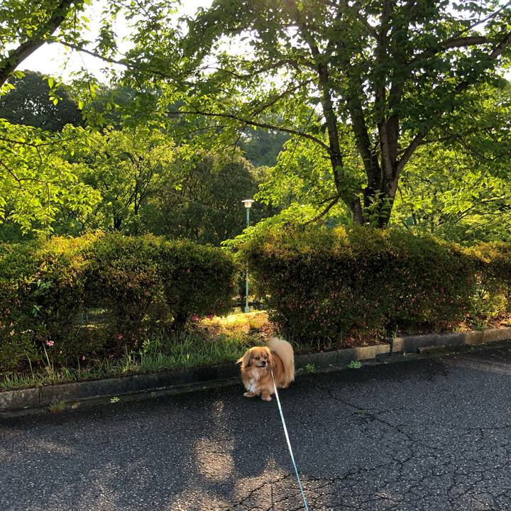 F3fe866a c362 44a7 af4b 7ac2c124d31e 1560376200477