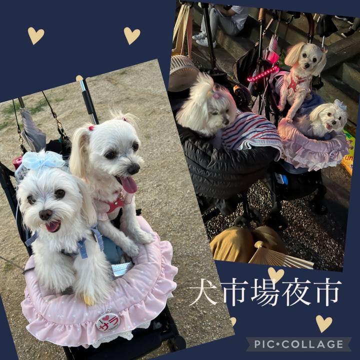 F3fecf9e b09e 47e2 9ab9 ce140c949501 1692453359125