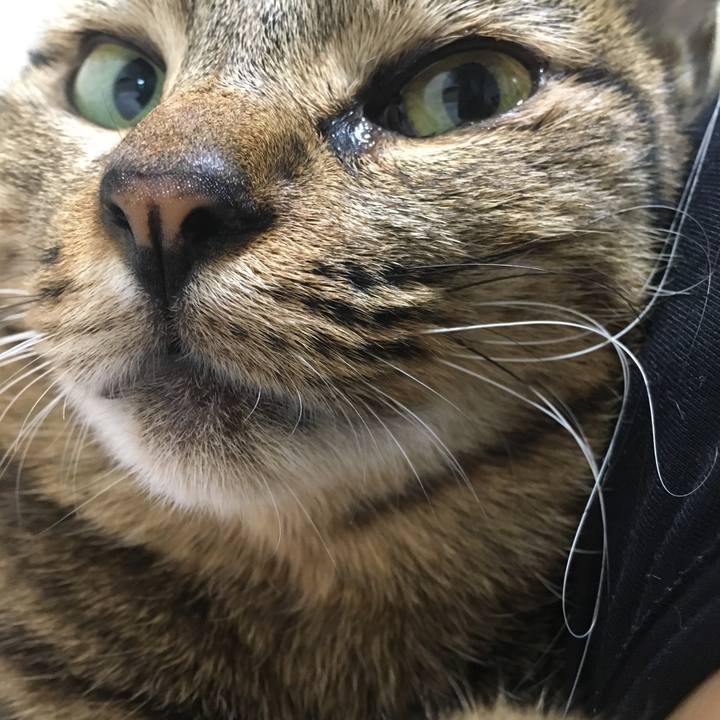 F3fed0d7 36de 45e1 9ac6 02f87ea32ac1 1519391975238