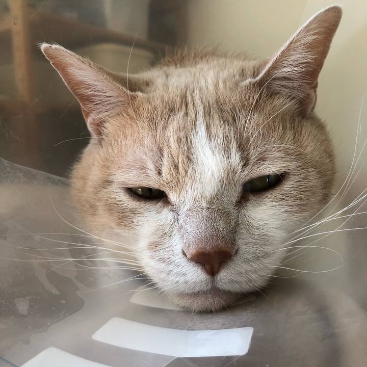 F3ff09a7 3283 4bb2 b889 7495a4ed5955 1550720544501