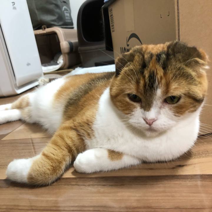 F3ff283a 53e3 47df 880f fb483b4a1bdc 1564580011565