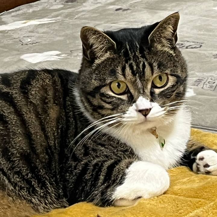 F3ff29da 5bf9 461a a3bf e8dab981ecda 1775607647354