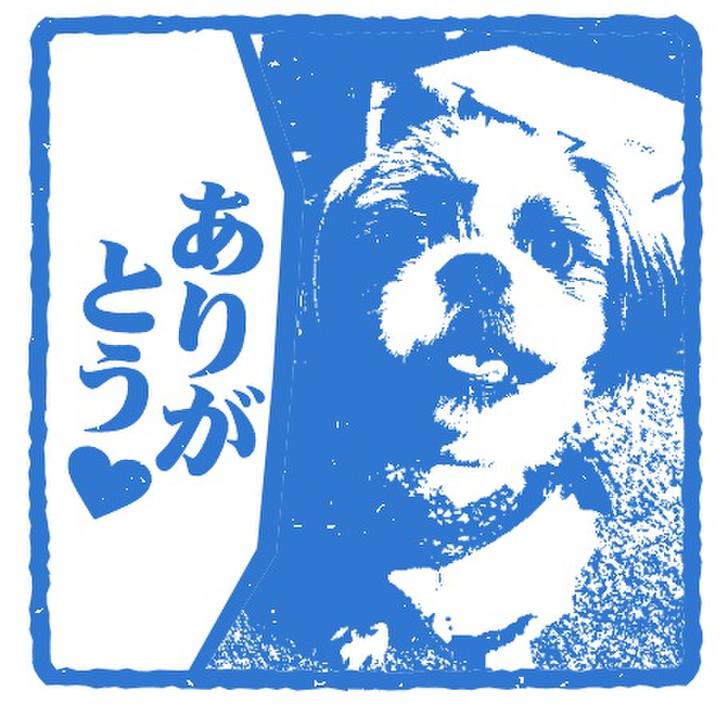 F3ff4a98 5821 44eb a4fd 377a7aae2f41 1537526084155