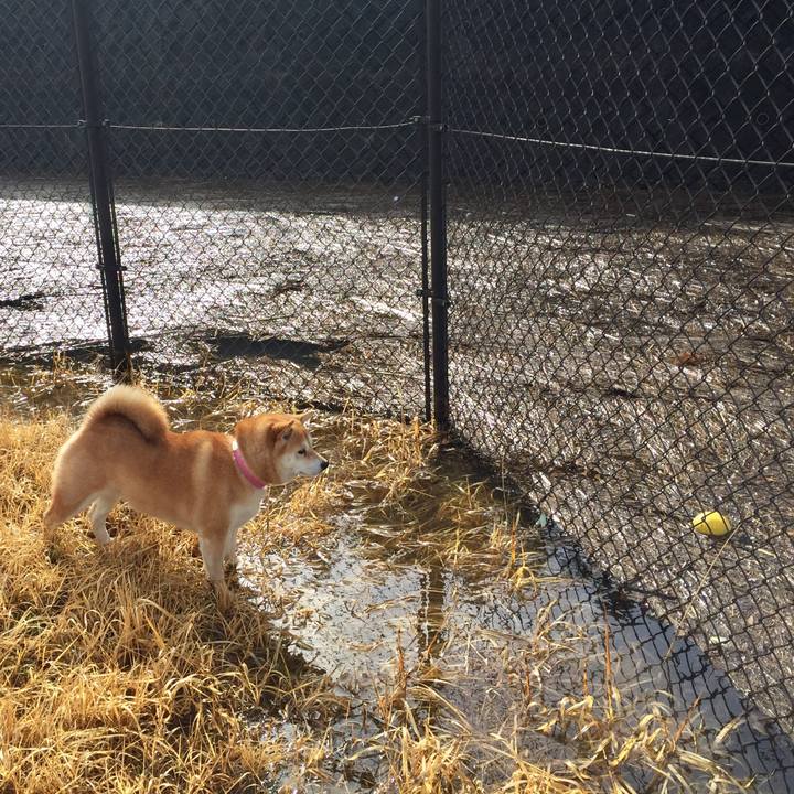 F3ff639b 0734 4c8f 8023 89cc30eacb13 1519874914074