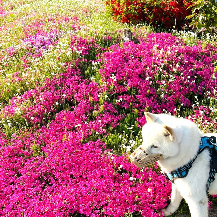 F3ff932d 7090 48b5 ba8c fc61a776ff09 1747780294651