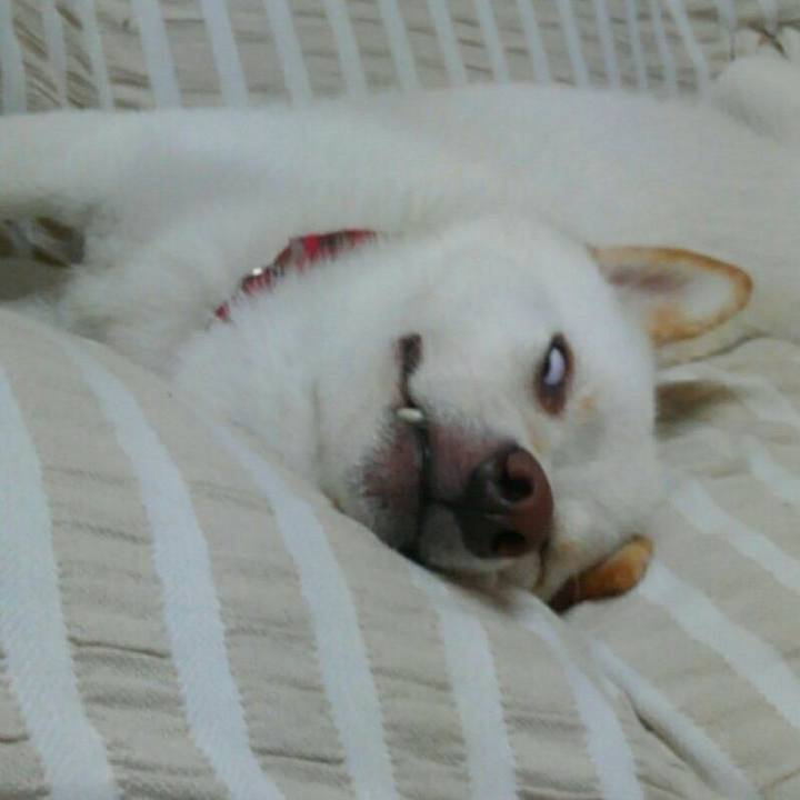 F4000b28 ee86 4c08 ae5b 1fc3eca17b0a 1564812283313