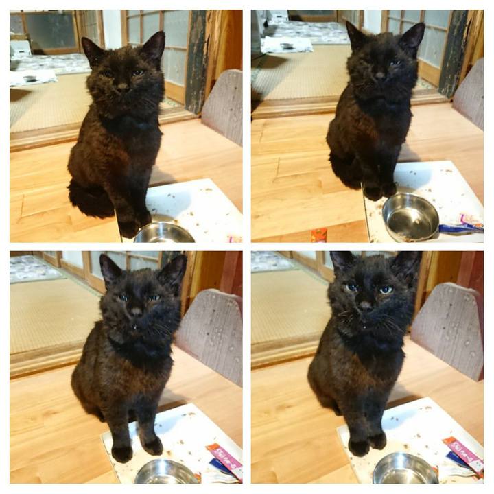 F40010bb 9696 4ce6 8451 0a8f8bd852be 1621861718474