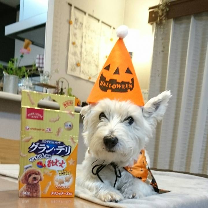 F4001605 b720 4bce b9dd b6ea9ddc309a 1509450009442