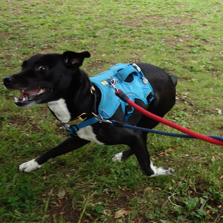 F4001a99 e726 4a90 8af5 8f463cdde51a 1621209030582