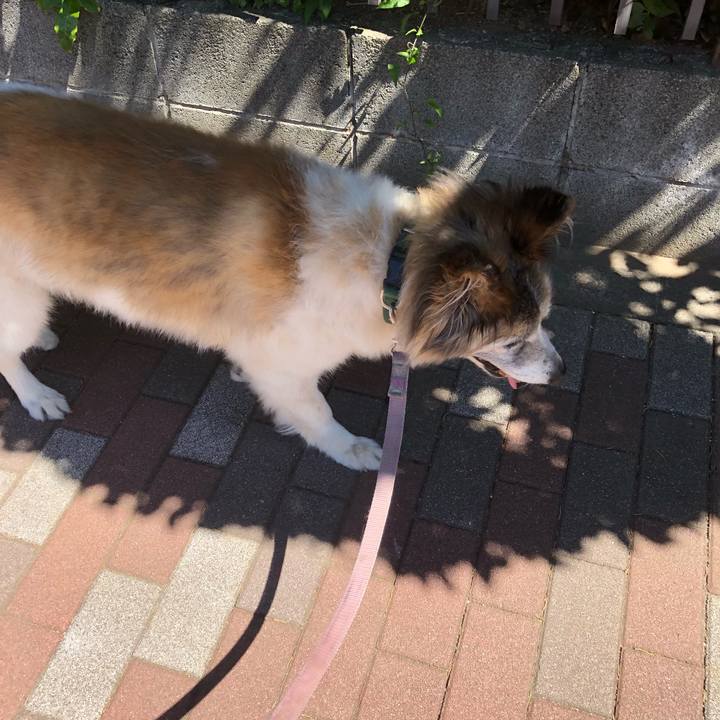 F4004a82 5c6c 480a aa1a 799f7a9d7d3d 1530234236981