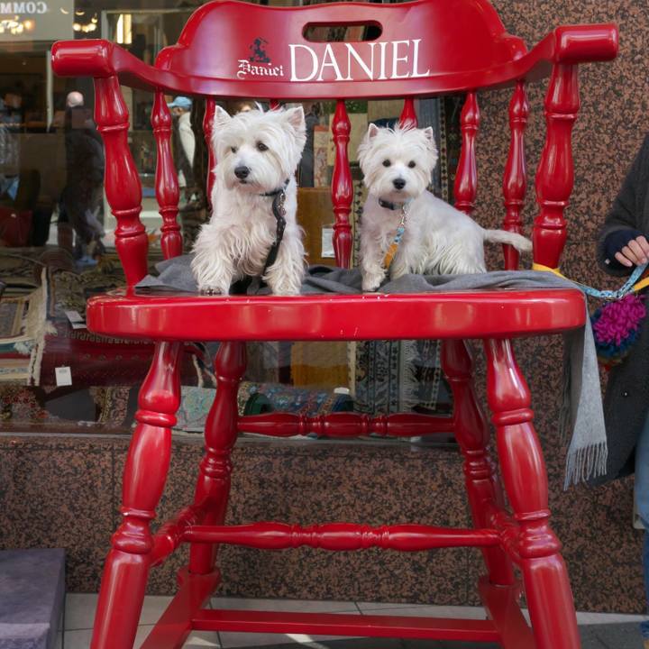 F4005546 934d 442d 8ab3 307e8defc0dc 1519004943983