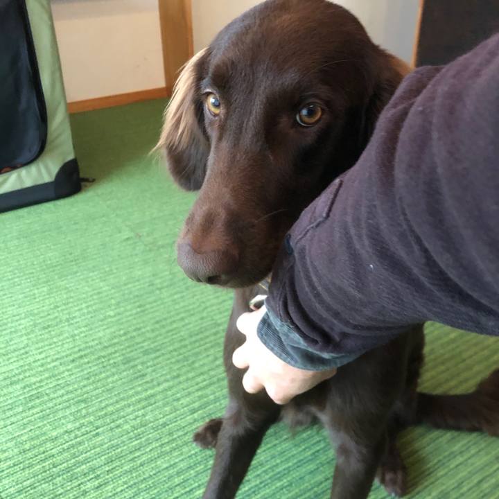 F4005857 35ca 46ed 983f b90de1eae661 1578610891617