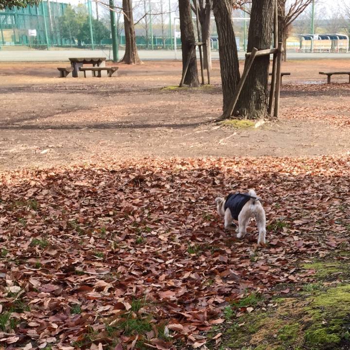 F4005fd6 a620 4f8c bb3b 776d58163224 1549791941906