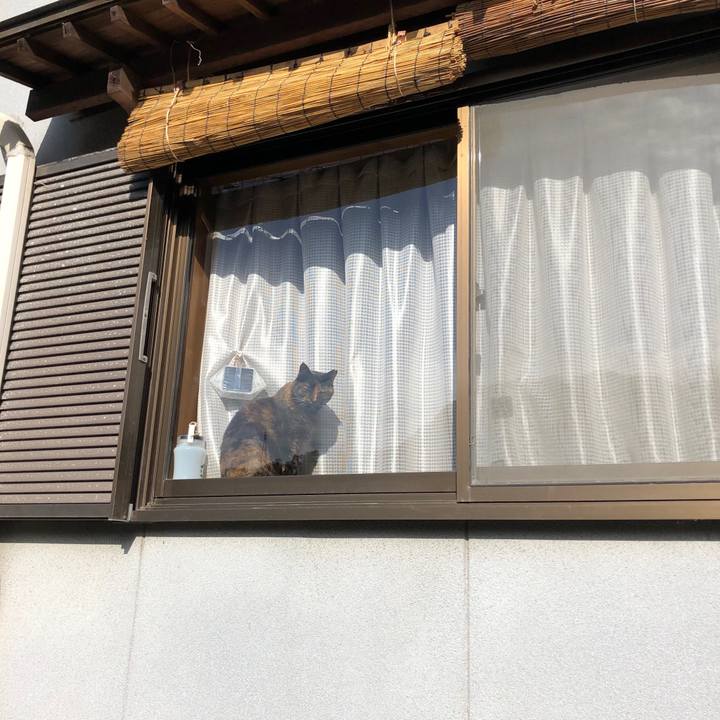 F4006095 24c2 480e b9bb 4eb4cbe62a8c 1679368219868