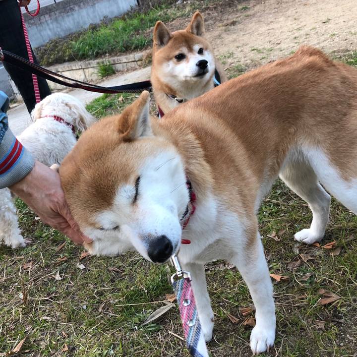 F40072af 599c 46c2 b7f0 dbc08c971843 1580617443098