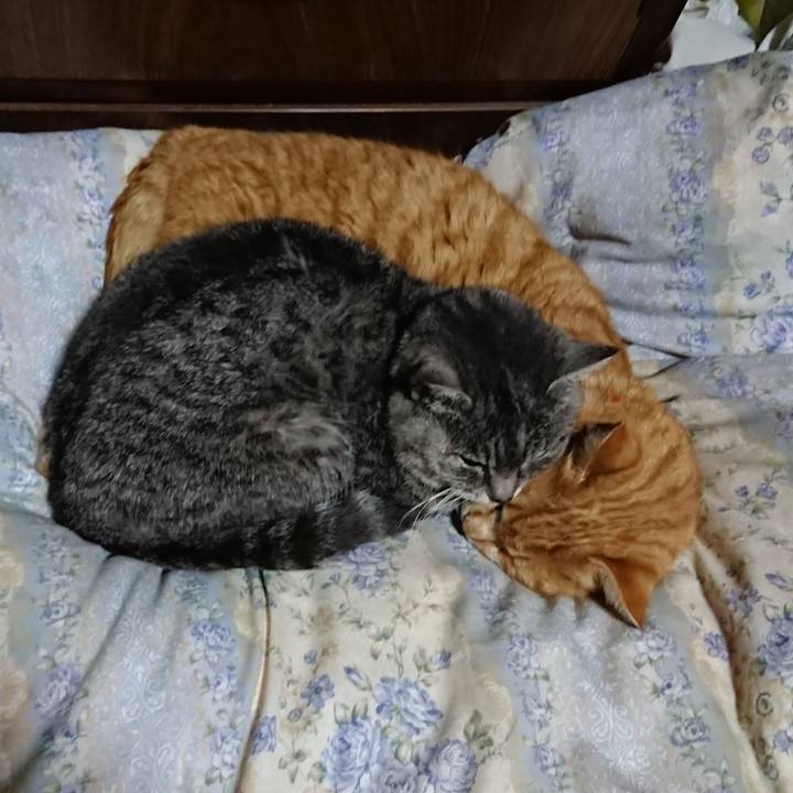 F4008e80 dc5c 403a b540 8e447dd5413a 1578660358370