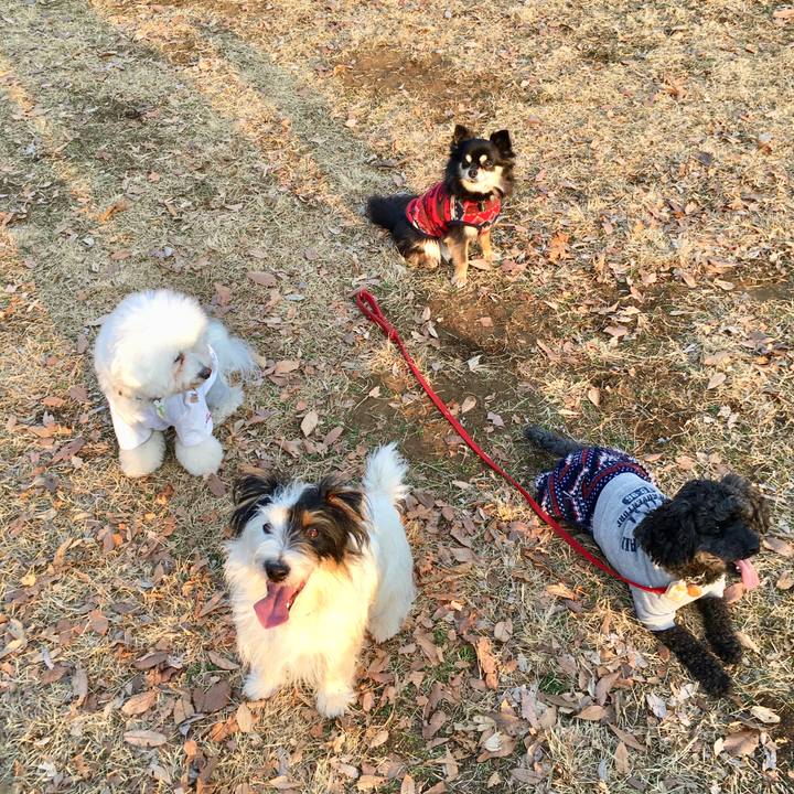 F400924b 9f9f 477f 8bc4 fe5d2e2c617a 1519601986752