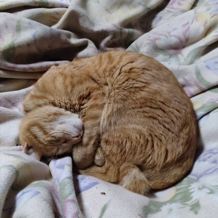 F4009e02 65e0 4d61 a99b 860c9ced0e33 1678542083738